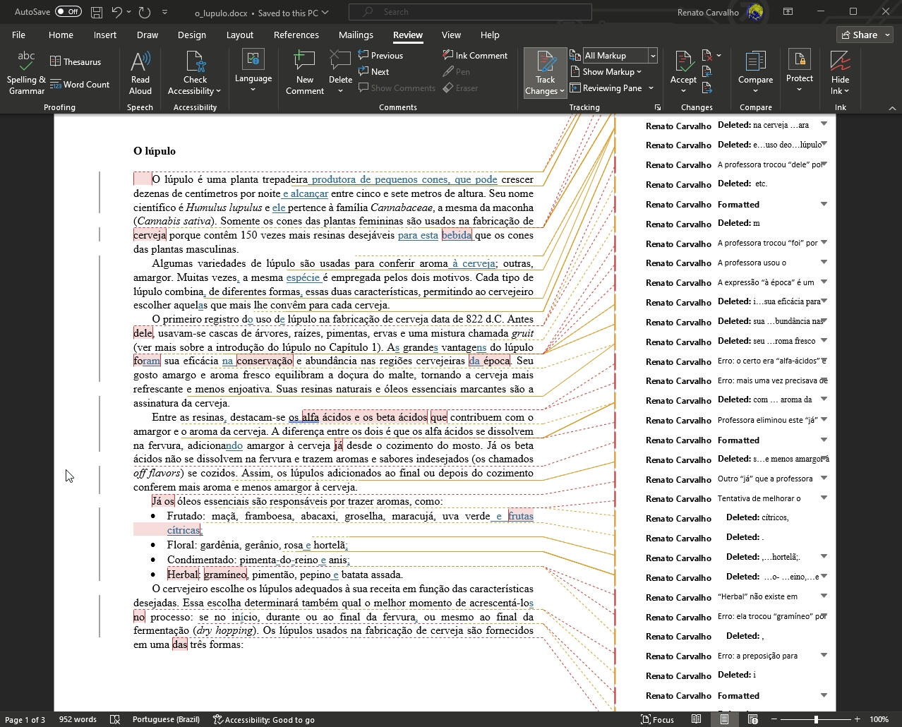 Editing of a technical text in Microsoft Word